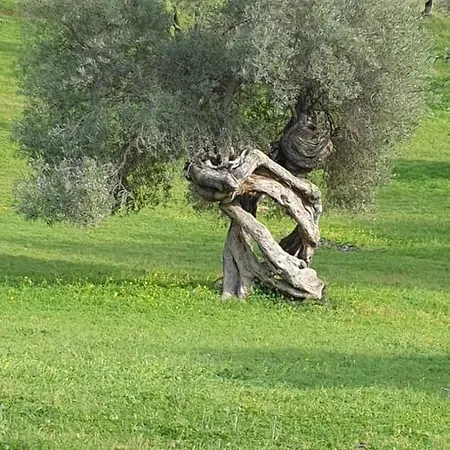 Molino De Bernabe Villa *